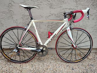 Raleigh Team 55cm