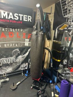 Everlast punching bag and stand