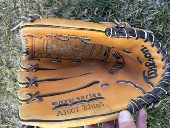 Wilson baseball glove A6667 Elite 5 Pro Back