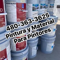 Pintura Y Material 