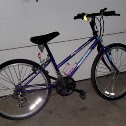 NORCO MTN. BIKE 24" Vintage