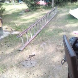 16' Ladder 