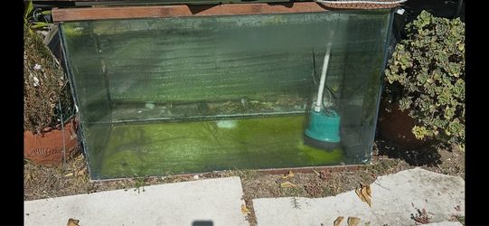 Fish tank