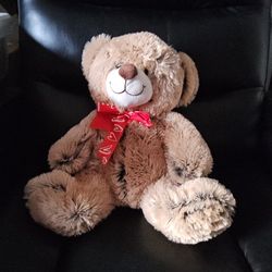 Brown Valentines Day Bear
