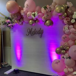 Baby Shower Decor , Quinseañera Decoración , Party Decorations , Balloons Decorations 