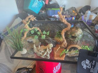 Reptile (snake) enclosure + accessories OBO