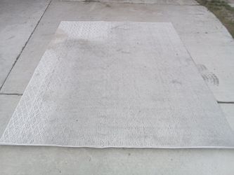 Indoor Area Rug