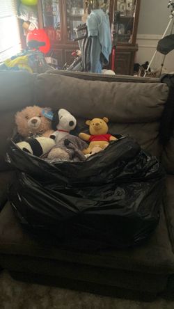 Stuffed animals/lovies