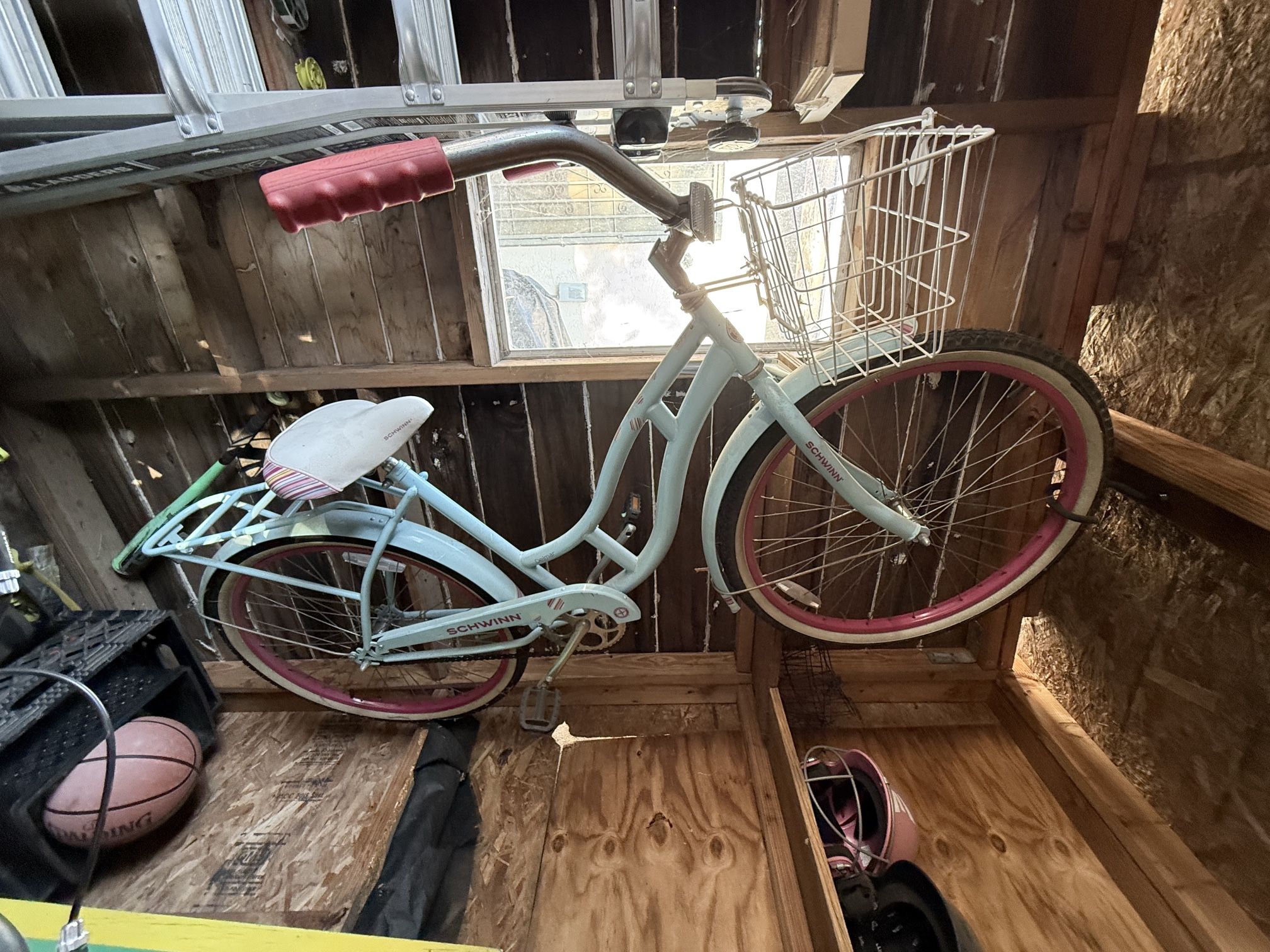 Schwinn Beach Cruise Bike Bicycle