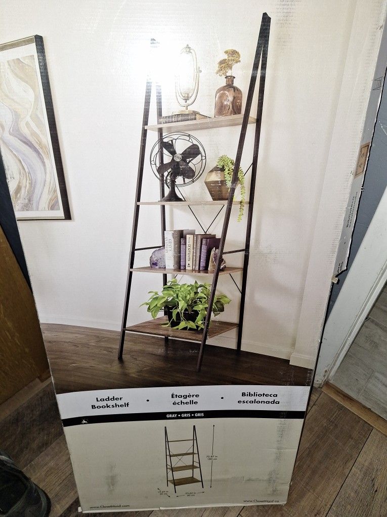 Ladder bookshelf
