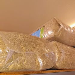 Hay Bedding For Chickens (NEW FEED STORE)