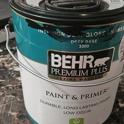Paint And Primer BLACK 