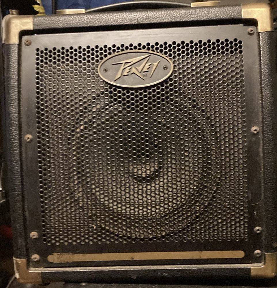 Gently Used Peavey Ecoustic E20 20-watt Amplifier