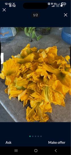 Flor de calabaza a la venta 10 flores $1