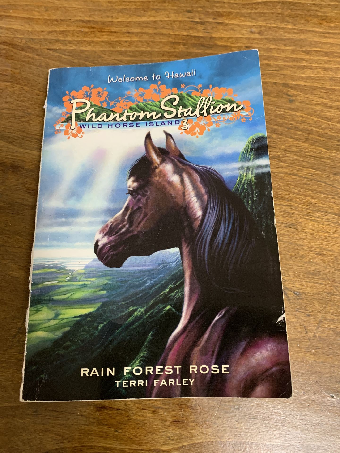 Phantom stallion book