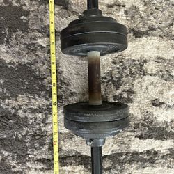 DP Dumbbell- Approximately 22-23 lbs.