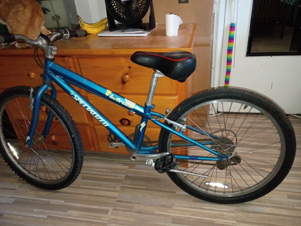 24 inch Gear Speed Specialized Bike/Pick Up Only