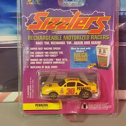 Playing Mantis Nascar Sizzlers Motorized Cars