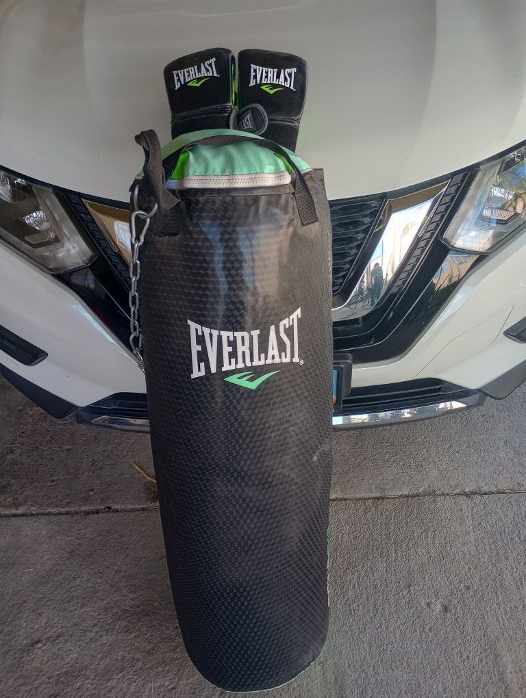 Only Used Twice- Punching Bag And Boxing Gloves