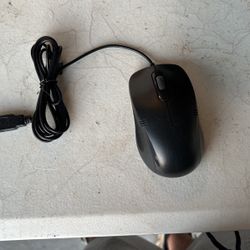Computer Mouse 