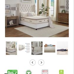 2 Twin XL Plush Luxury Bliss Organic Hybrid Latex Mattresses With Craftmatic Adjustable, Massaging Bed Frames