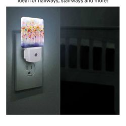 Assortment Motion Senor Night Light