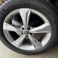 OEM Audi Q3/Q5 Wheels On Michelin 235/55 R19 Tires + Kurgo Seasonal Tire Totes