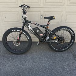 Ecotric E-bike