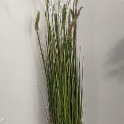 Artificial  Plant 