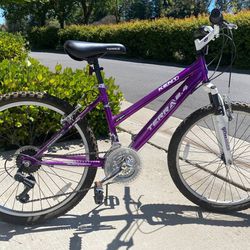 Kent Girls 24” Bicycle 
