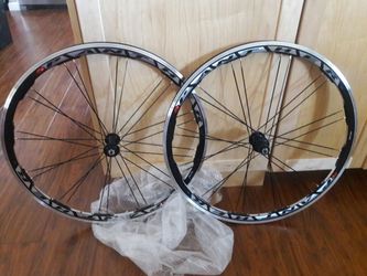 Panther 700c wheels hotsell