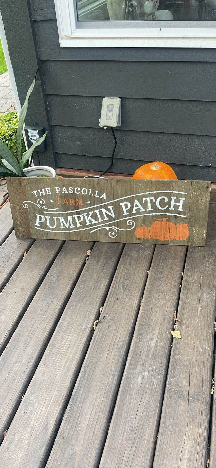 Farmhouse, Pumpkin, Patch Halloween Thanksgiving, Rustic Party Prop  Farm Stand well or yard art