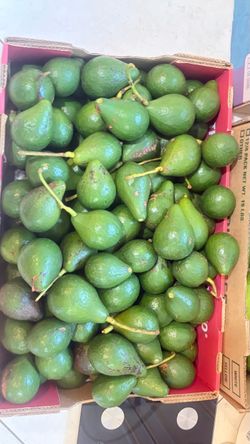 🥑 Little Cado Avocados — 2 for $1!