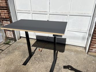 Sit Stand Desk