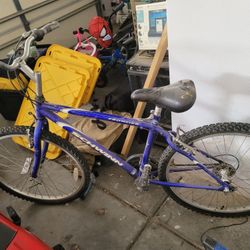 Shwinn Frontier Mt. Bike