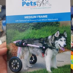 Walking Pets Dog Frames 