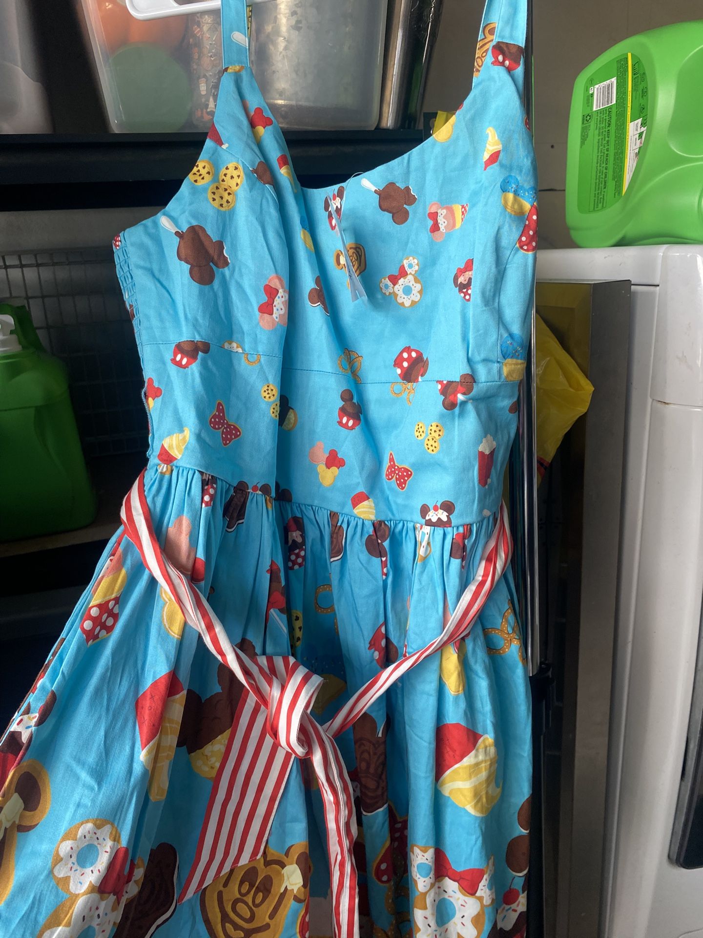 Disneyland Park Dress