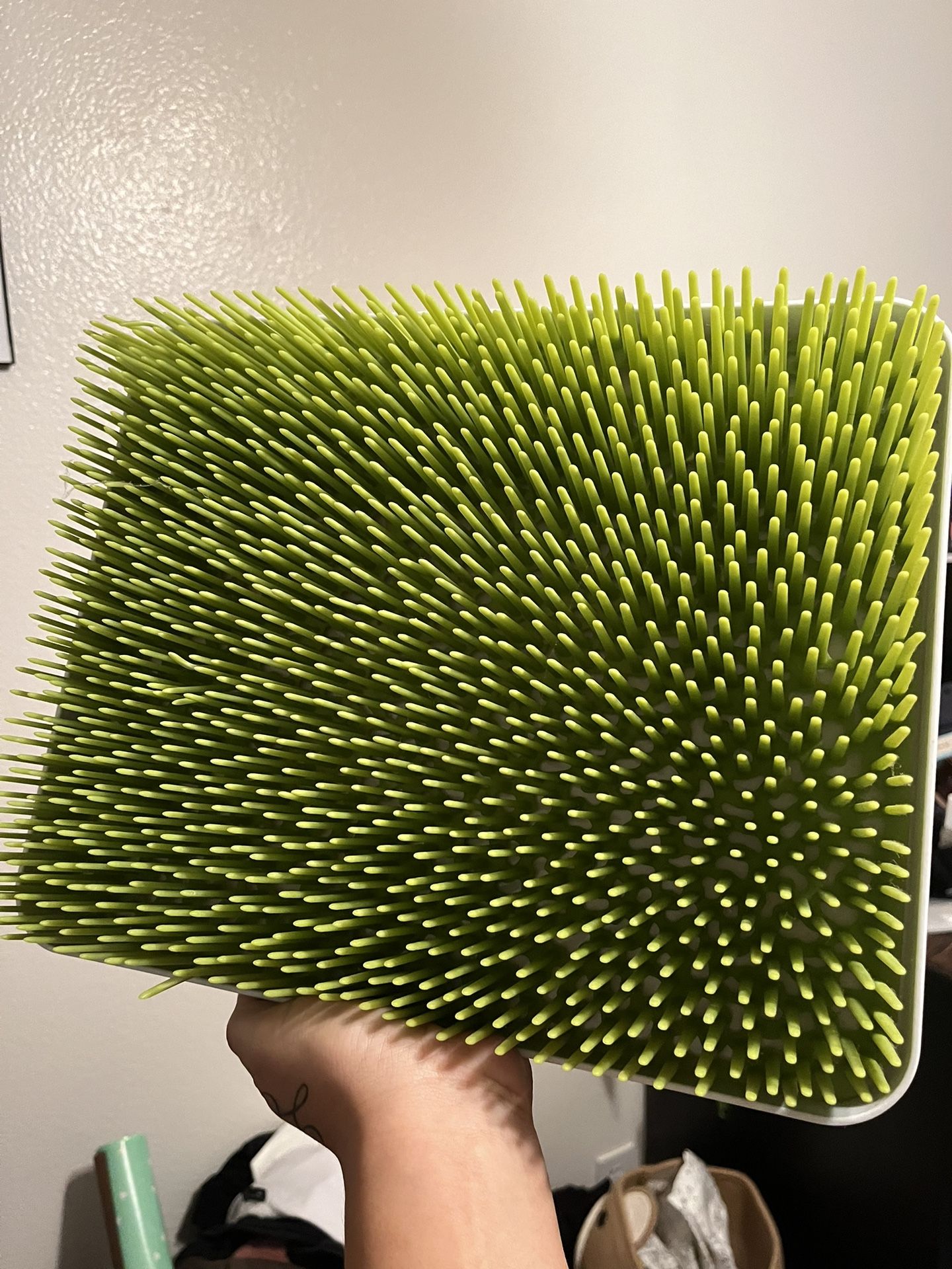 baby drying grass 