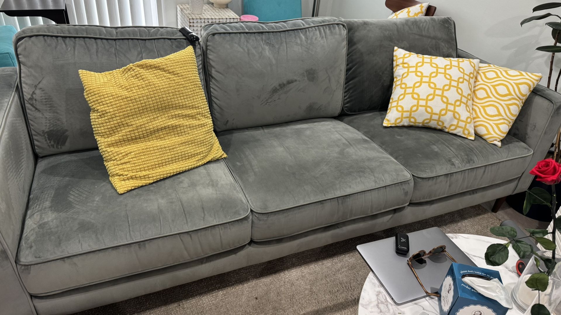 Luxury Velvet Sofa PICK UP TODAY