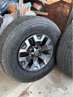 Tires & Rims