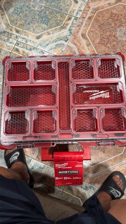 Milwaukee PACKOUT organizer