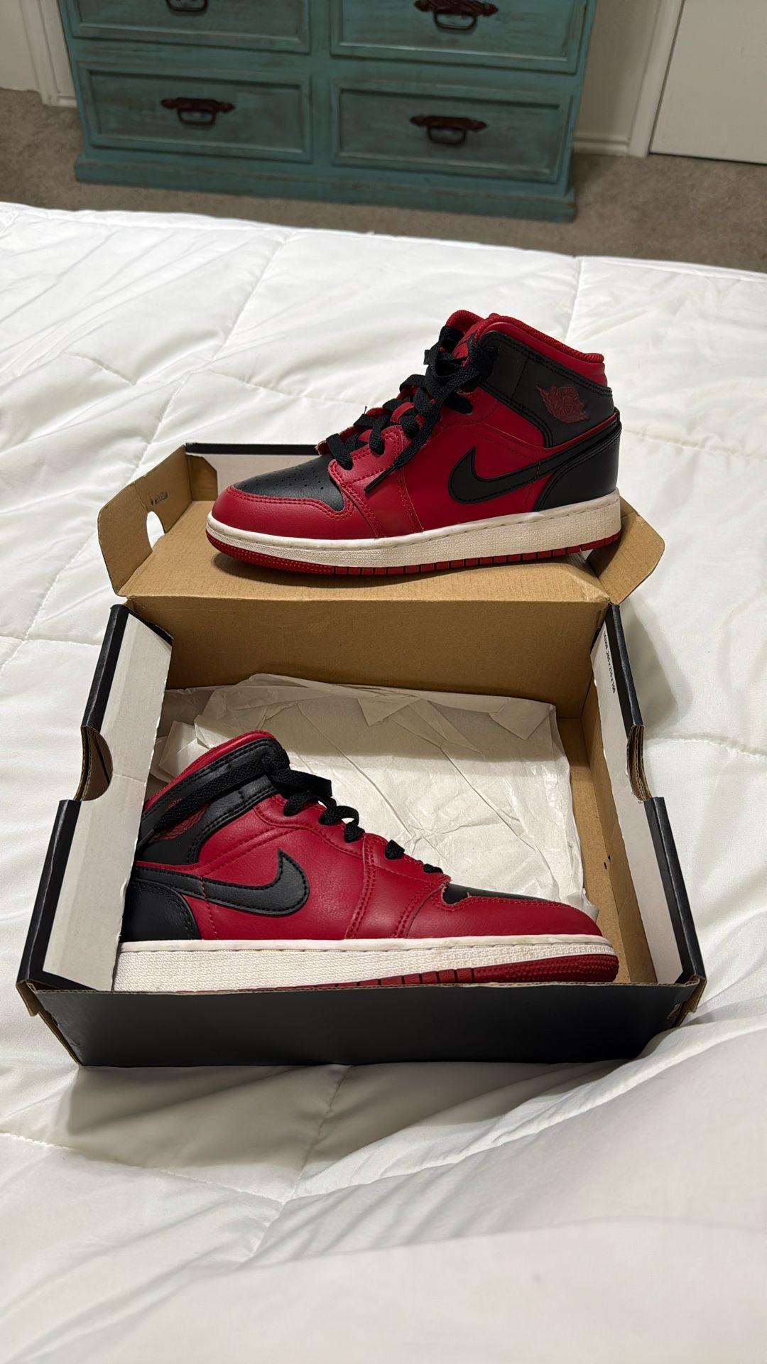 Used Air Jordan 1 Low
