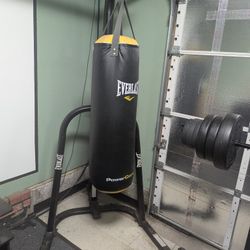 Everlast 80lb Punching Bag with stand