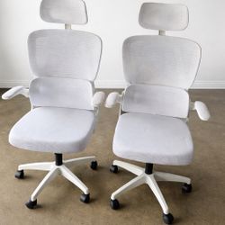 Ergonomic Mesh Office Chair
