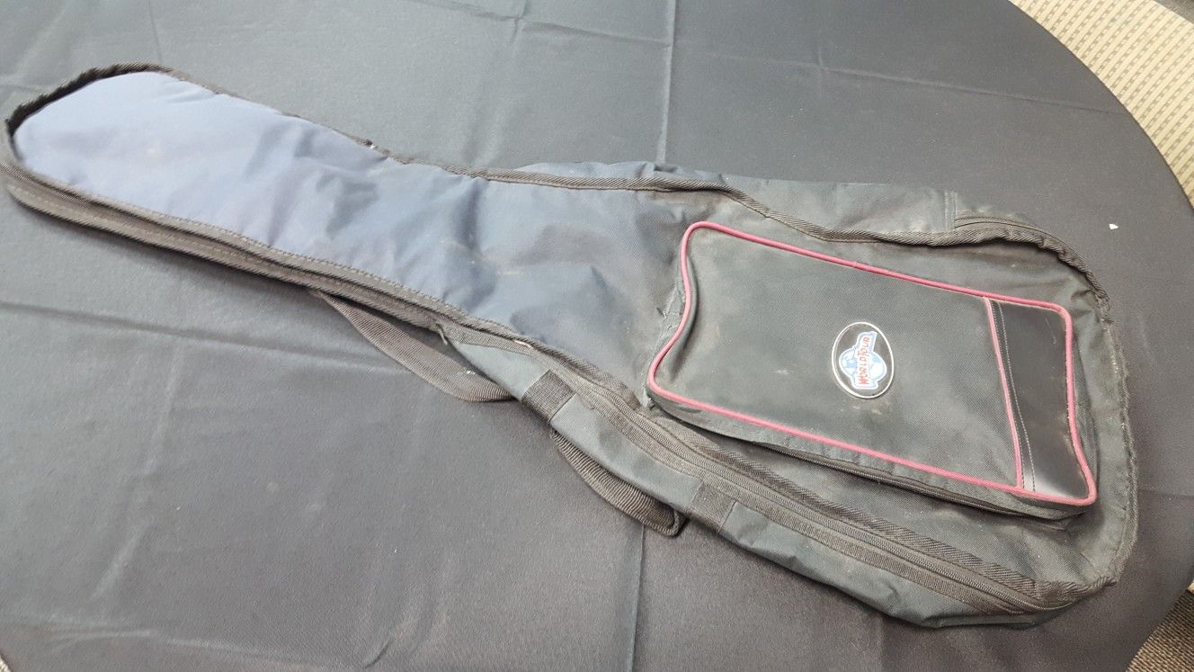 Premium acoustic guitar case