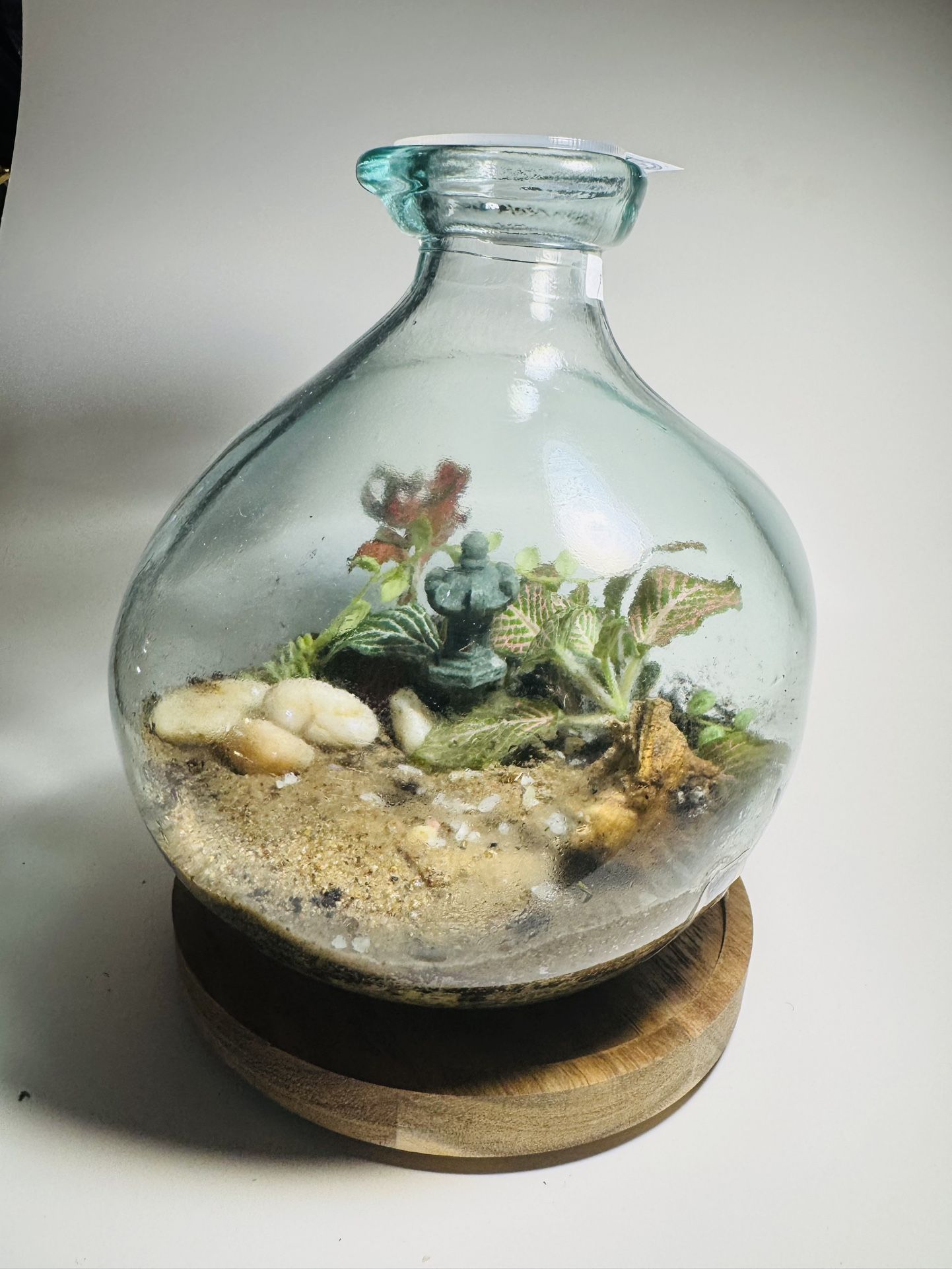 Terrarium