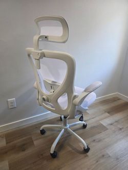 Ergonomic Office Chair