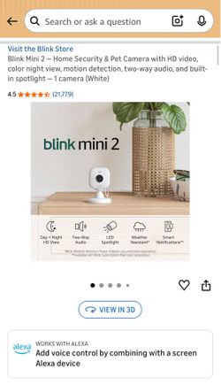 blink mini 2