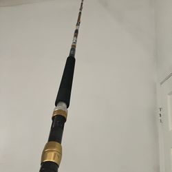 FISH N FOOLS CUSTOM RODS
