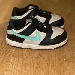Toddler Nike Dunks 
